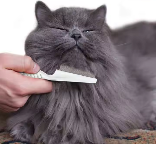 Soft Cat Comb