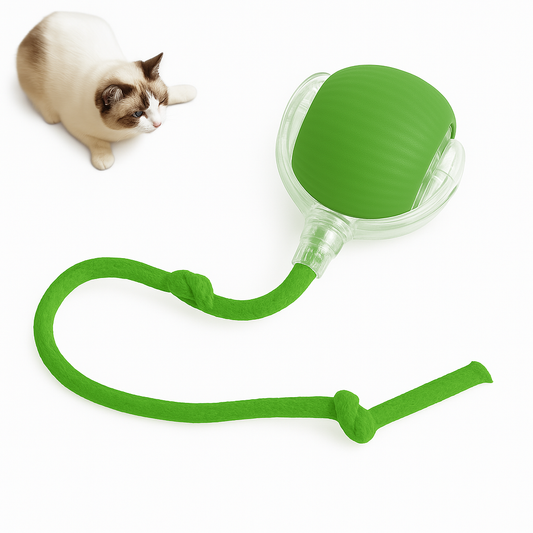 PurrChase – Smart, Interactive, and Voted Cat Toy of the Year 2024