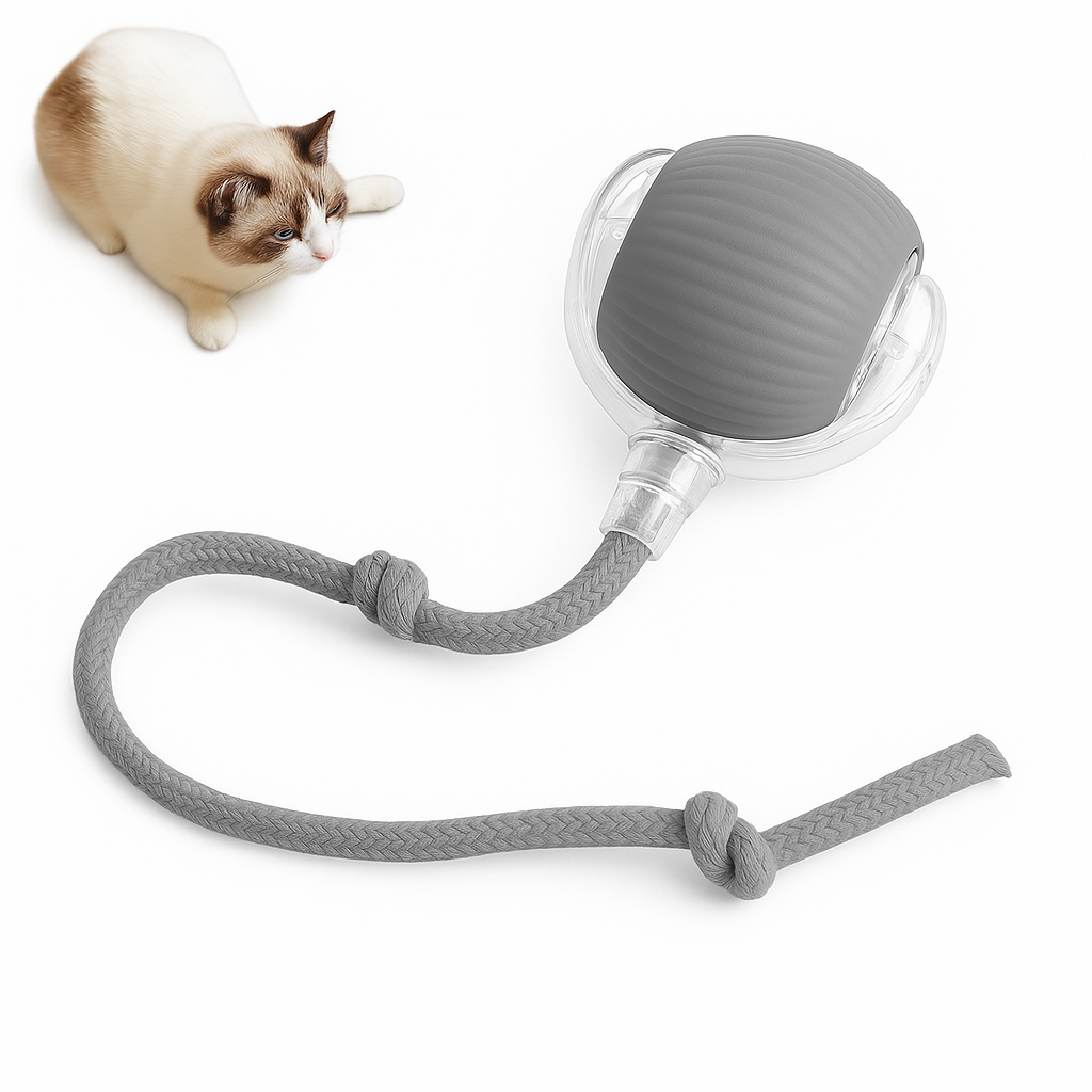 PurrChase – Smart, Interactive, and Voted Cat Toy of the Year 2024