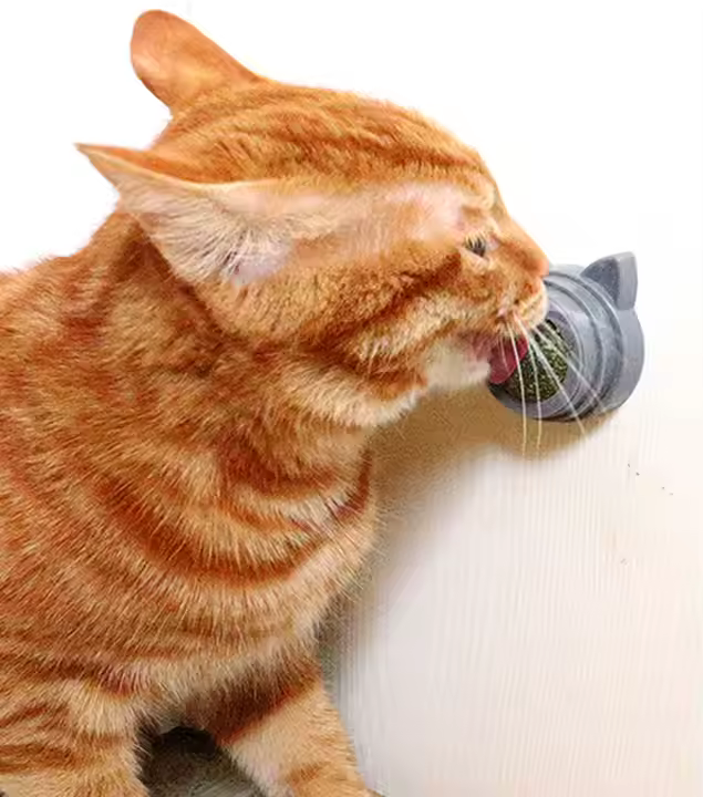 Rotating Teeth-Cleaning Catnip Ball